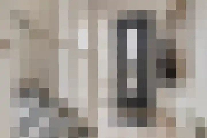 Gerard Revelaan 62 Kloetinge thumbnail 8