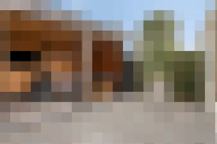 Gerard Revelaan 7 Kloetinge thumbnail 25