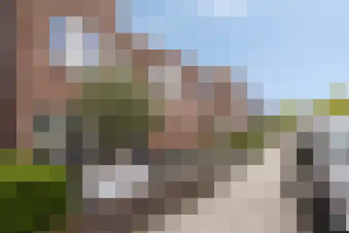Gerard Revelaan 7 Kloetinge thumbnail 28