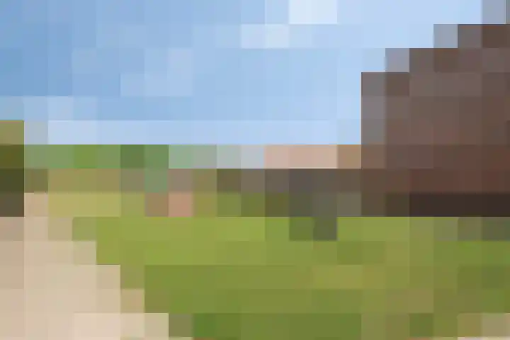 Gerard Revelaan 7 Kloetinge thumbnail 32