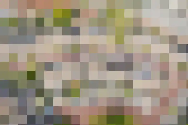 Gerard Revelaan 7 Kloetinge thumbnail 33