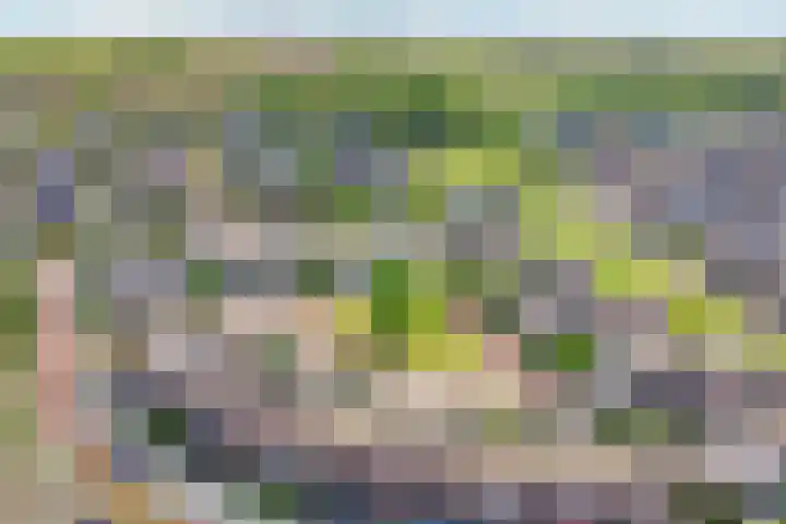 Gerard Revelaan 7 Kloetinge thumbnail 34