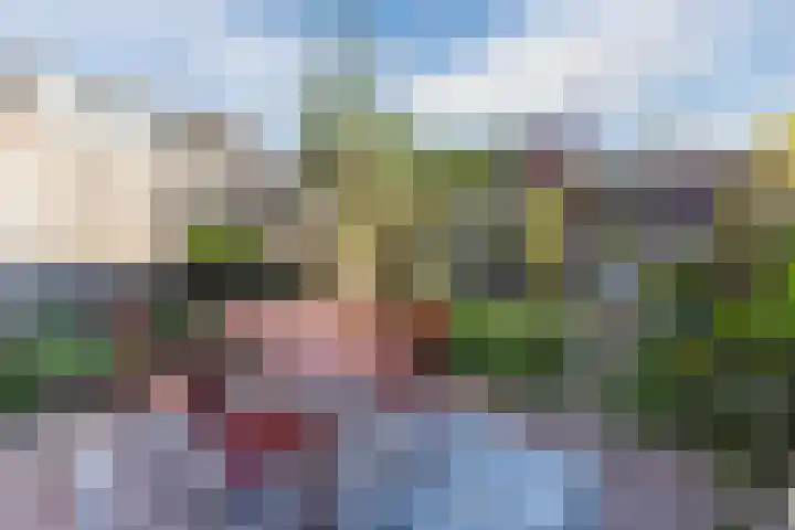 Gerard Revestraat 120 Utrecht thumbnail 9