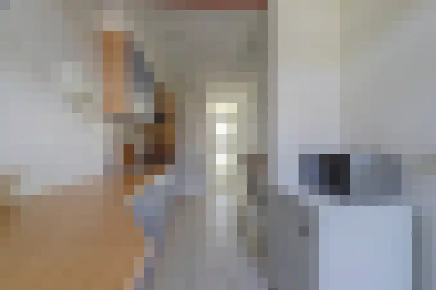 Gerard Rijssenbeekstraat 13 Bemmel thumbnail 18