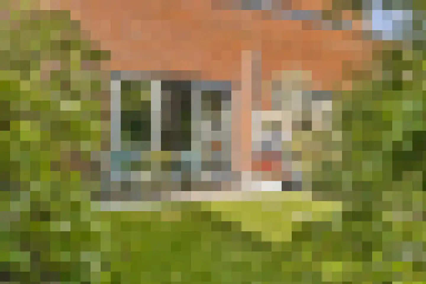 Gerard Ruttenhof 5 Amsterdam thumbnail 6