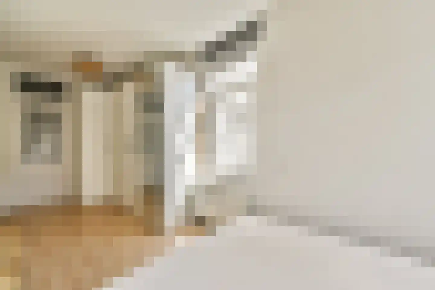 Gerard Schaepstraat 3 3 Amsterdam thumbnail 18