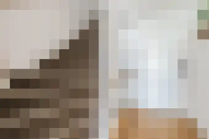 Gerard Scholtenstraat 20 B Rotterdam thumbnail 34
