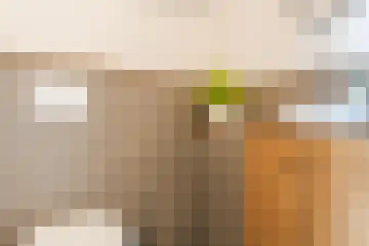 Gerard Scholtenstraat 20 B Rotterdam thumbnail 53