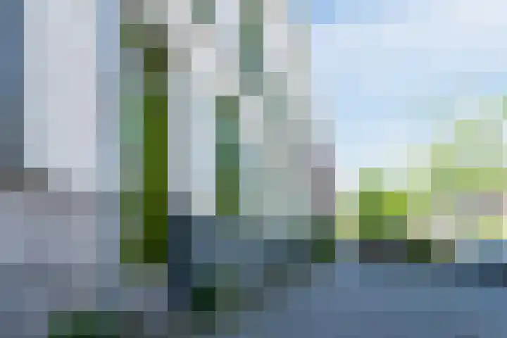 Gerard Scholtenstraat 20 B Rotterdam thumbnail 59