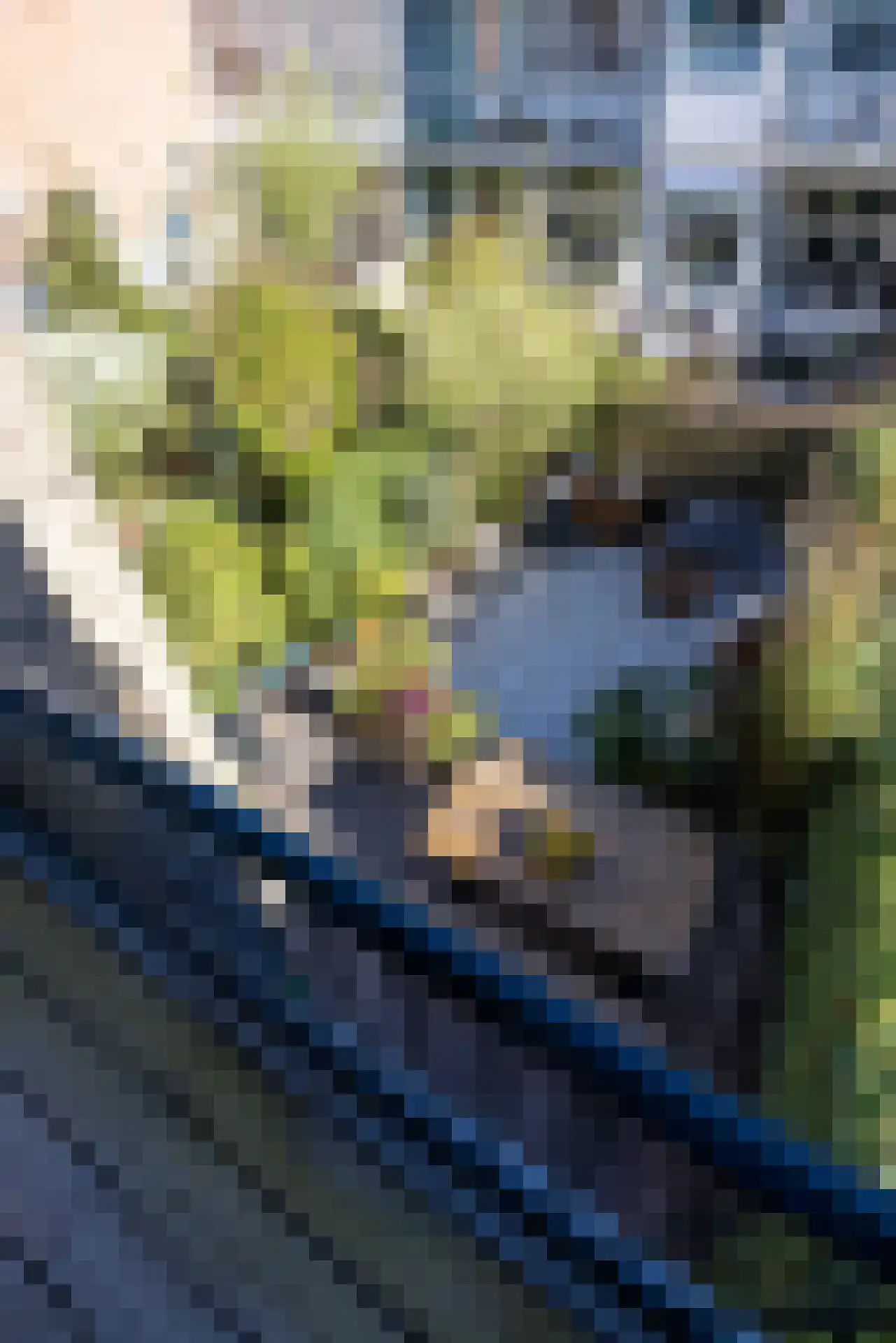 Gerard Scholtenstraat 31 Rotterdam thumbnail 25