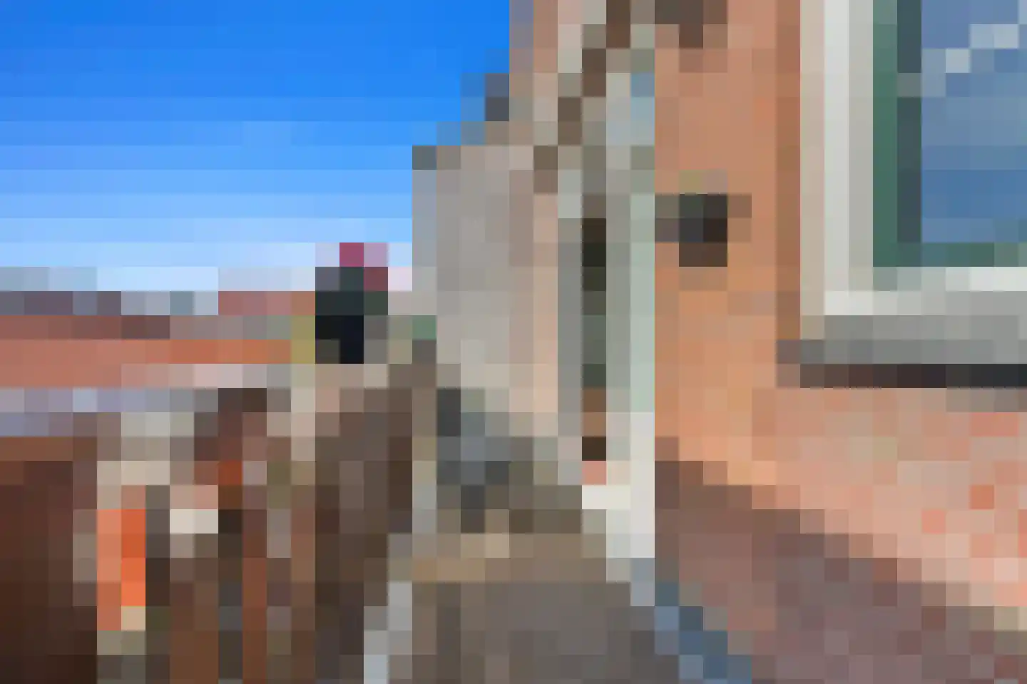 Gerard Scholtenstraat 34 Rotterdam thumbnail 19