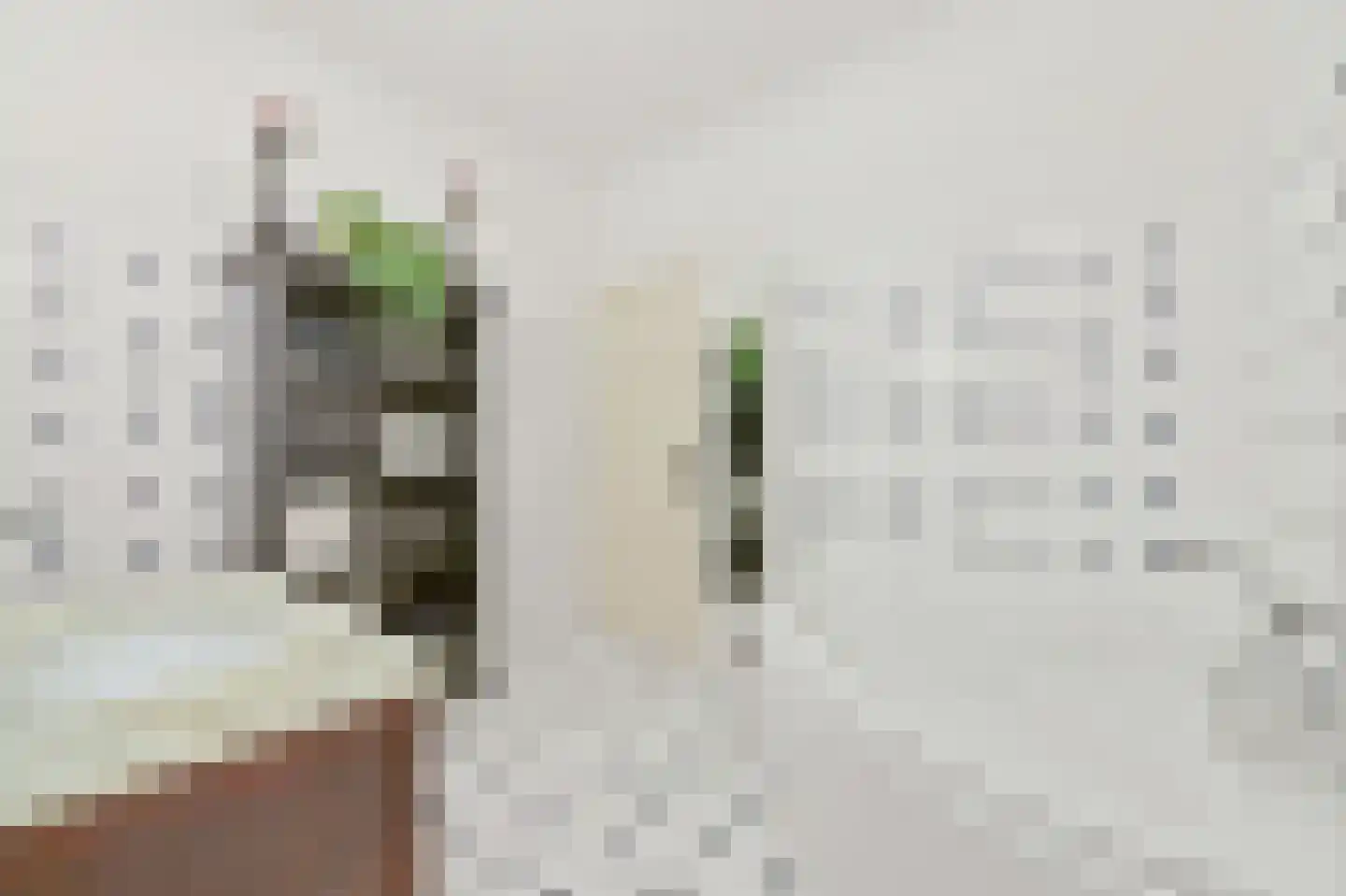 Gerard Scholtenstraat 34 Rotterdam thumbnail 5