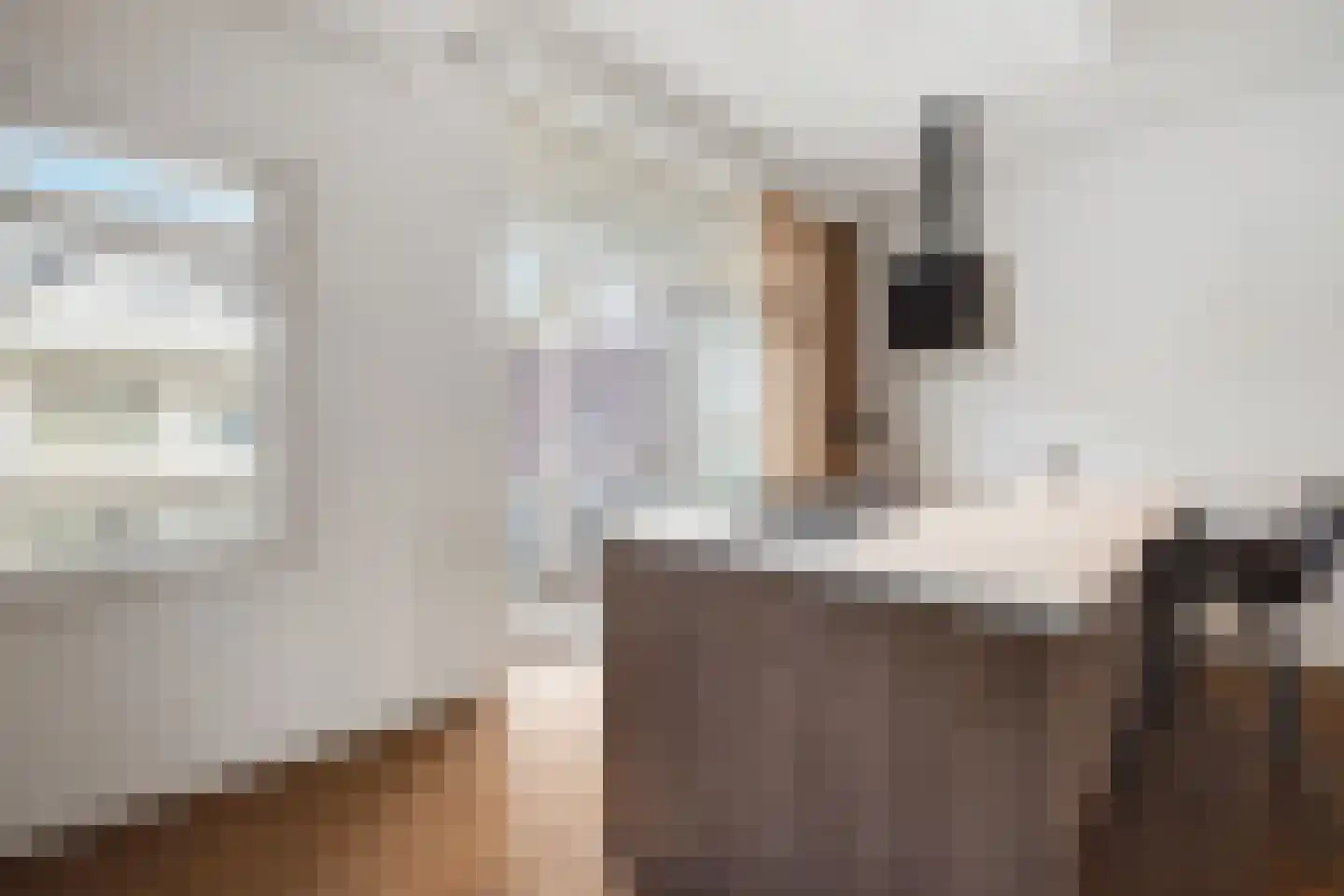 Gerard Scholtenstraat 43 B Rotterdam thumbnail 12