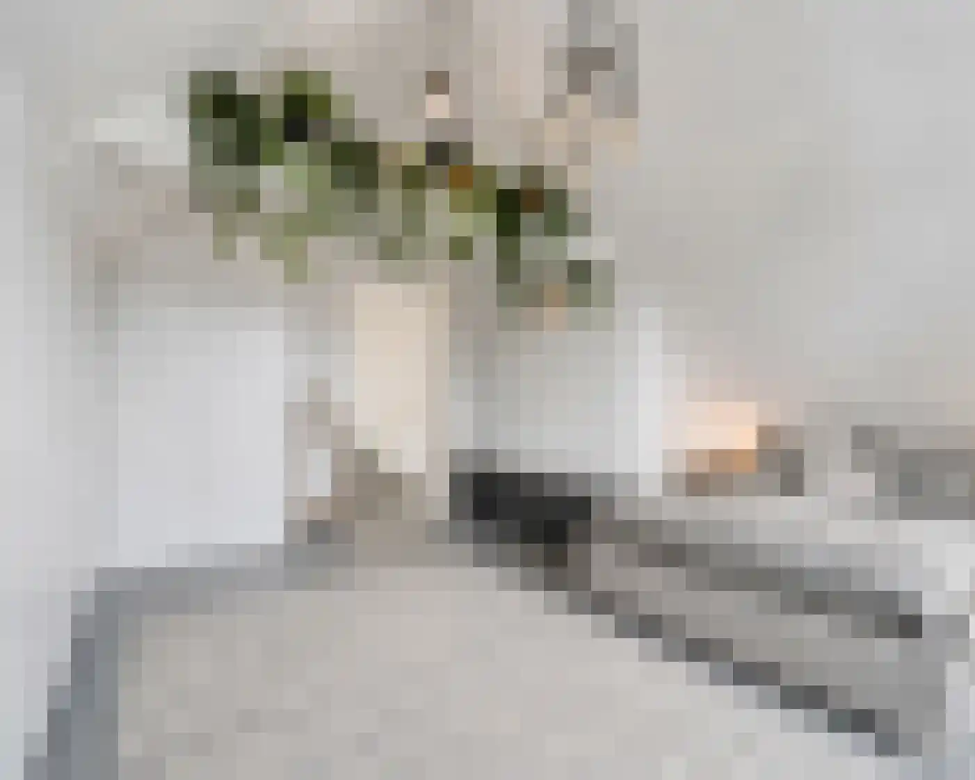 Gerard Scholtenstraat 43 B Rotterdam thumbnail 21