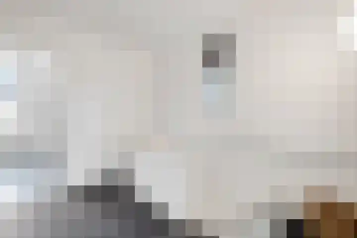 Gerard Scholtenstraat 43 B Rotterdam thumbnail 32
