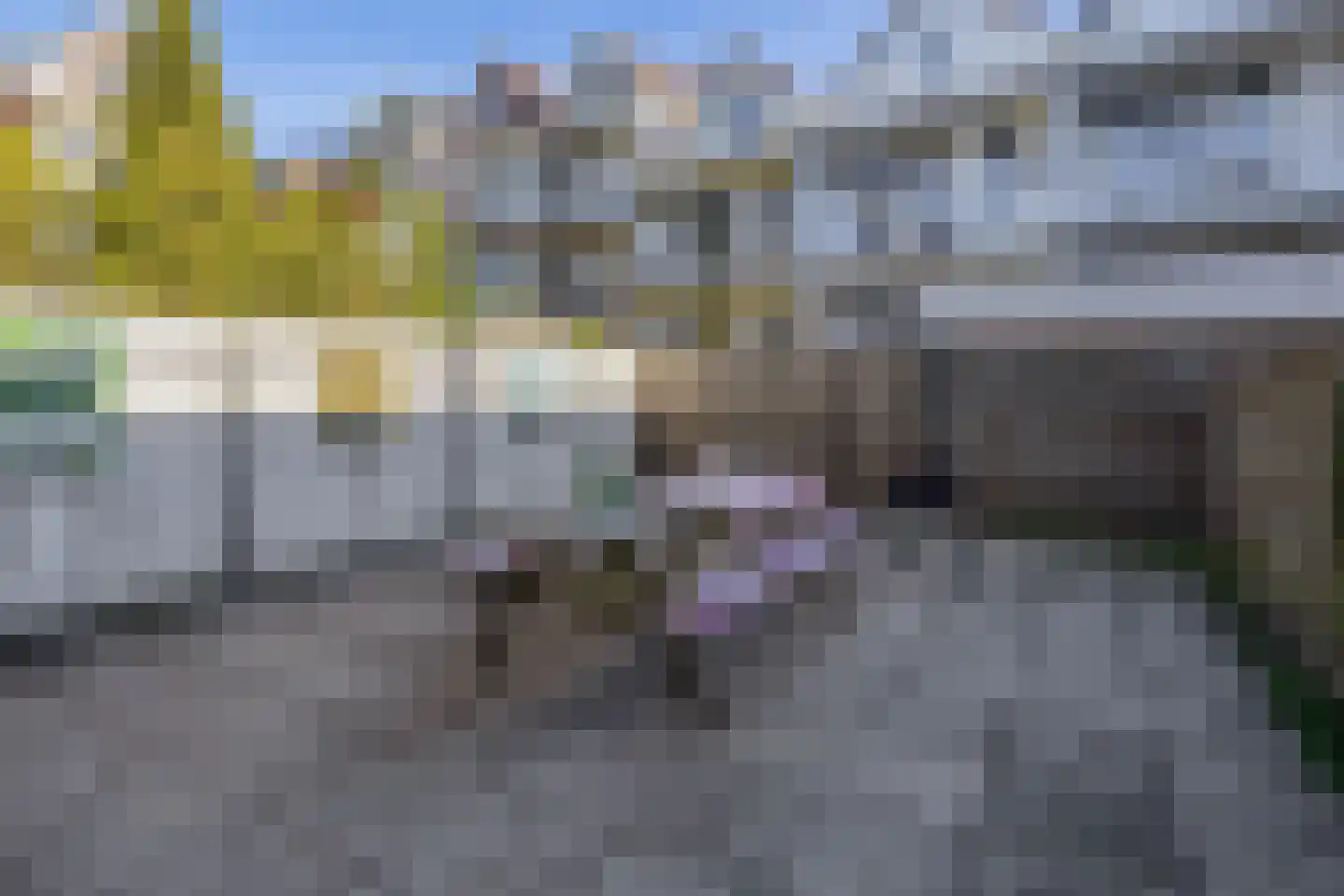 Gerard Scholtenstraat 45 A Rotterdam thumbnail 22
