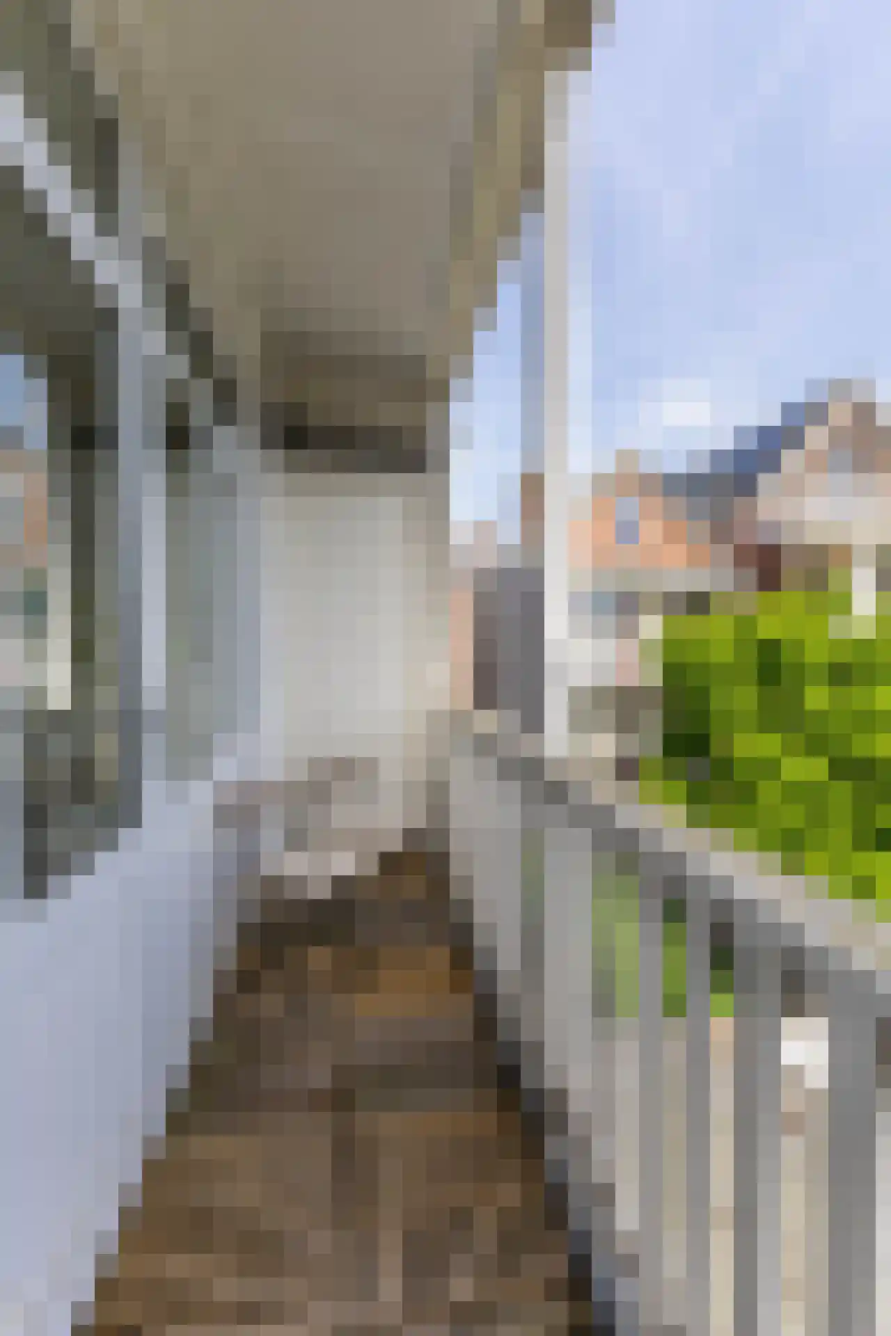 Gerard Scholtenstraat 53 A 02 Rotterdam thumbnail 14