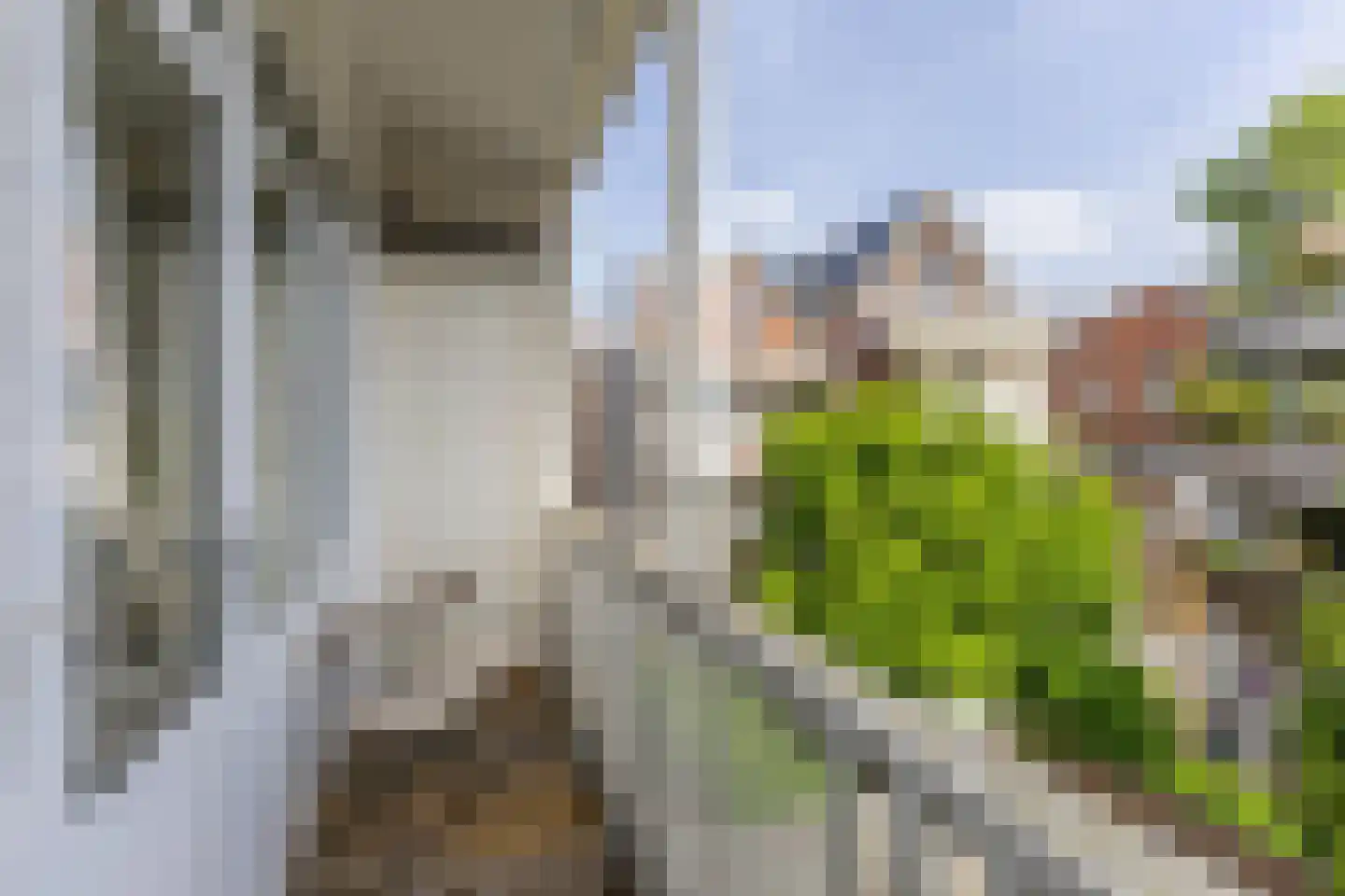 Gerard Scholtenstraat 53 A 02 Rotterdam thumbnail 5