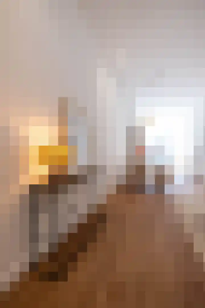 Gerard Scholtenstraat 53 C 01 Rotterdam thumbnail 12