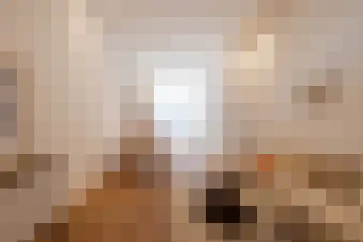 Gerard Scholtenstraat 53 C 01 Rotterdam thumbnail 13