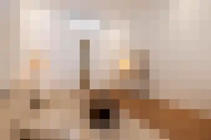 Gerard Scholtenstraat 53 C 01 Rotterdam thumbnail 16