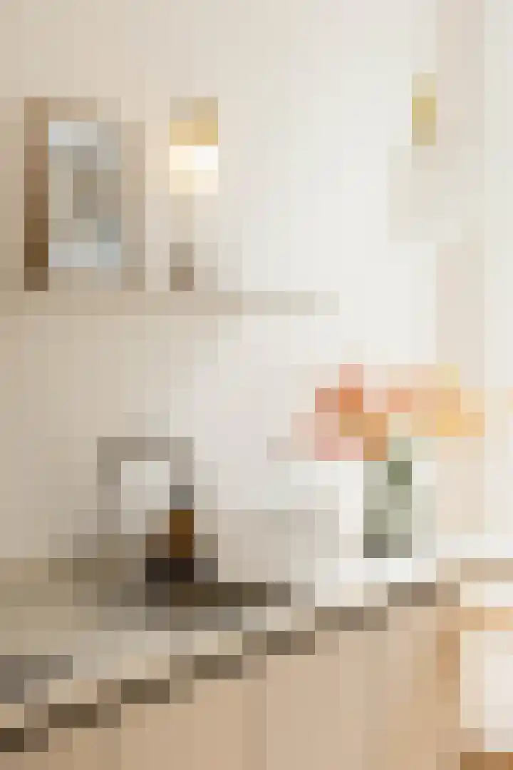 Gerard Scholtenstraat 53 C 01 Rotterdam thumbnail 37