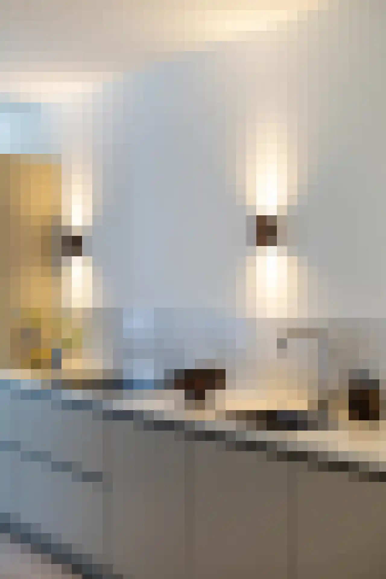 Gerard Scholtenstraat 53 C 02 Rotterdam thumbnail 10