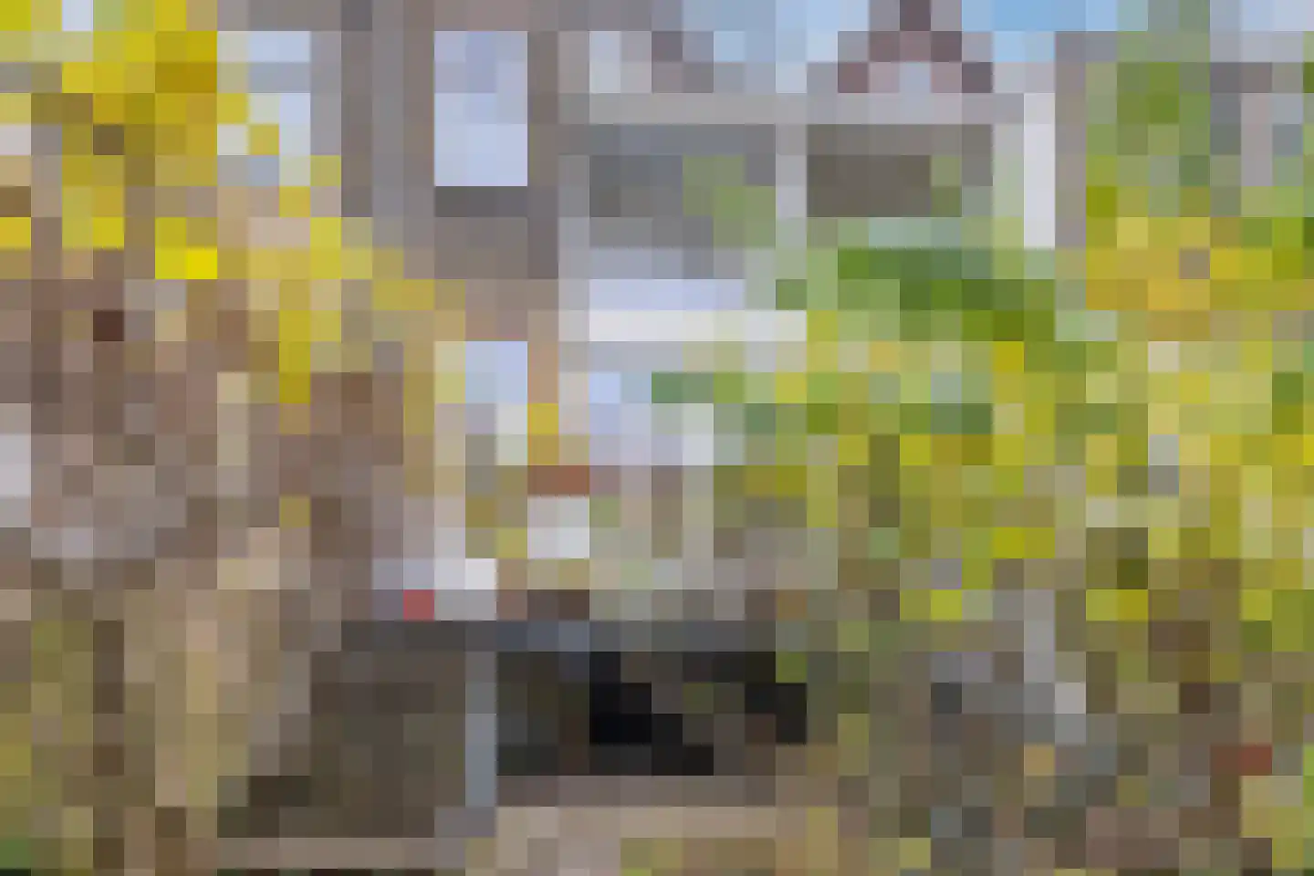 Gerard Scholtenstraat 78 A Rotterdam thumbnail 71