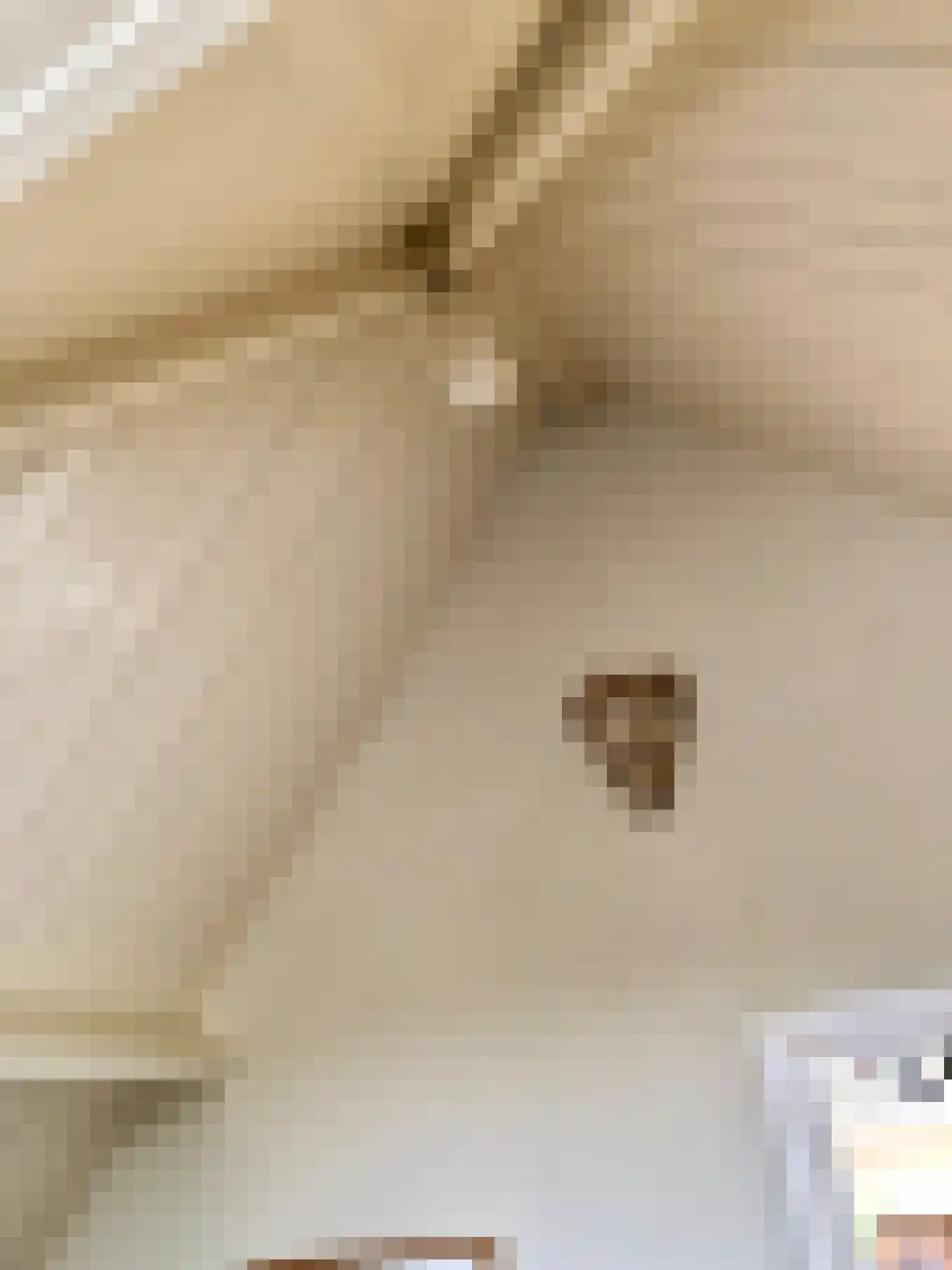 Gerard Scholtenstraat 78 B Rotterdam thumbnail 59