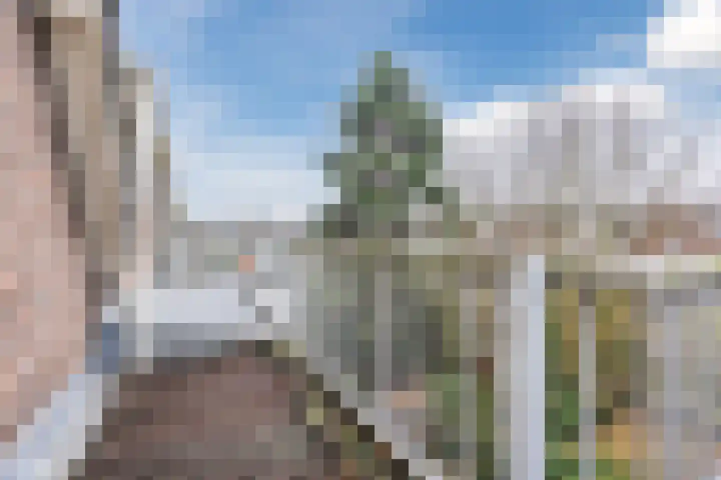 Gerard Scholtenstraat 78 B Rotterdam thumbnail 66