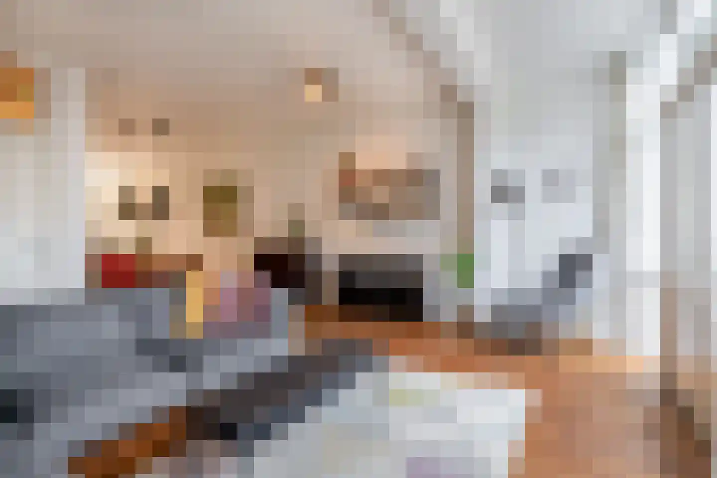 Gerard Scholtenstraat 82 Rotterdam thumbnail 17