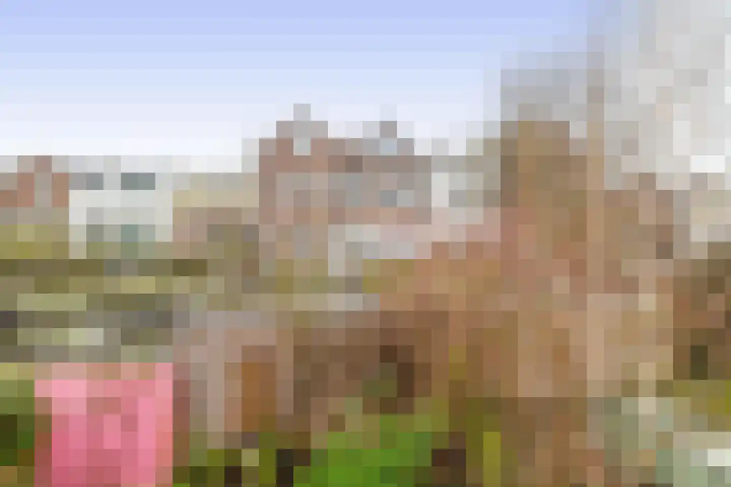 Gerard Scholtenstraat 82 Rotterdam thumbnail 36
