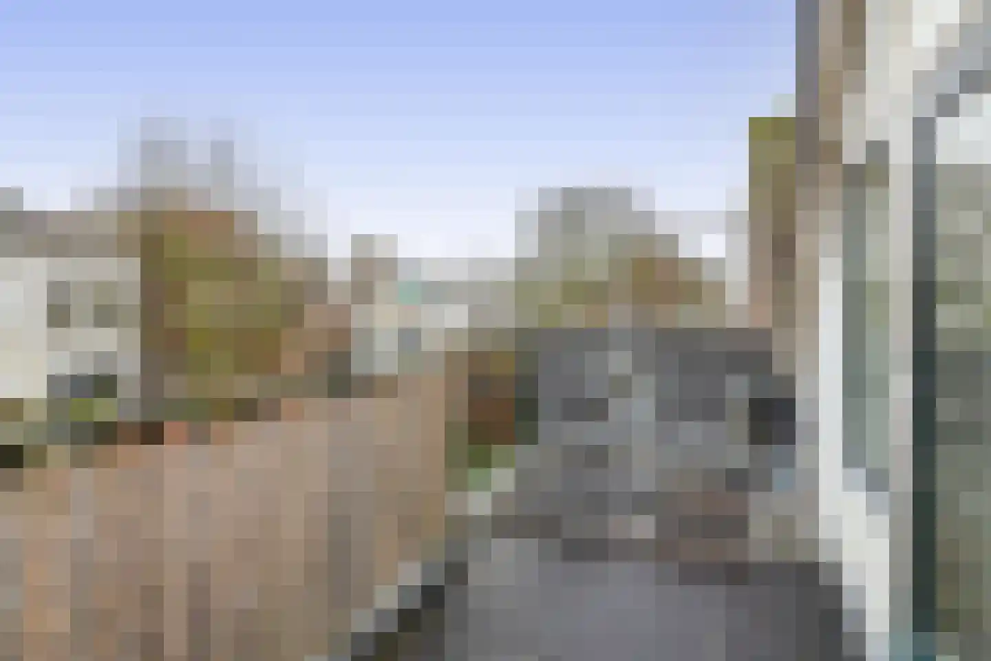 Gerard Scholtenstraat 82 Rotterdam thumbnail 50