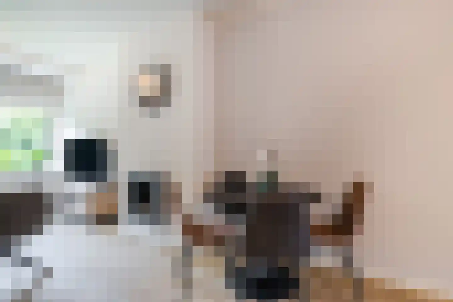 Gerard Splinter van Ruwiellaan 24 Breukelen thumbnail 9