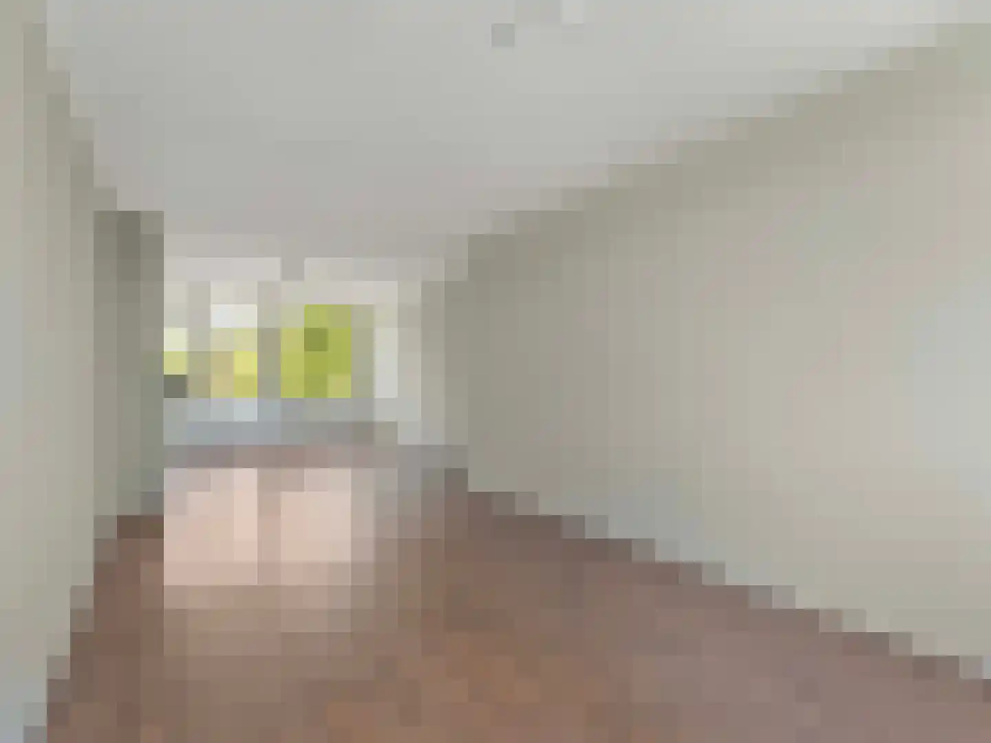 Gerard Splinter van Ruwiellaan 46 Breukelen thumbnail 11