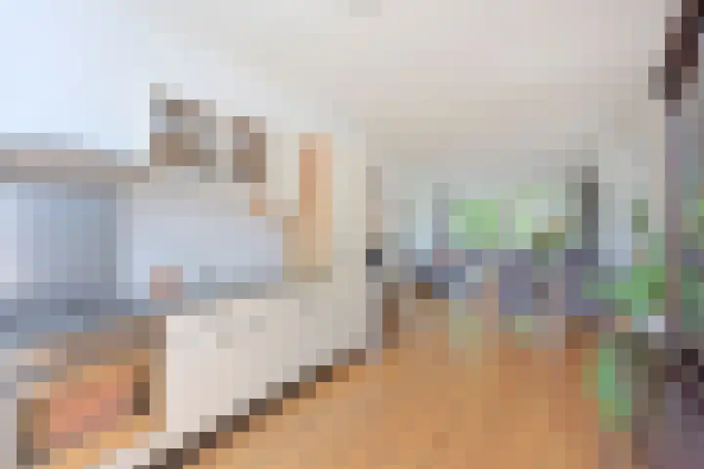 Gerard Splinter van Ruwiellaan 68 Breukelen thumbnail 13