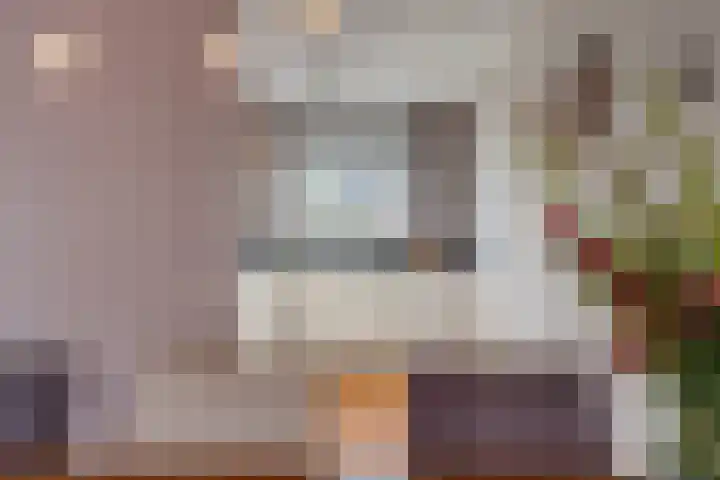 Gerard ter Borchhage 110 Nieuwegein thumbnail 17