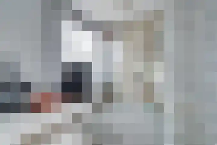 Gerard ter Borchhage 110 Nieuwegein thumbnail 25