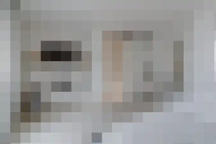 Gerard ter Borchhage 110 Nieuwegein thumbnail 31