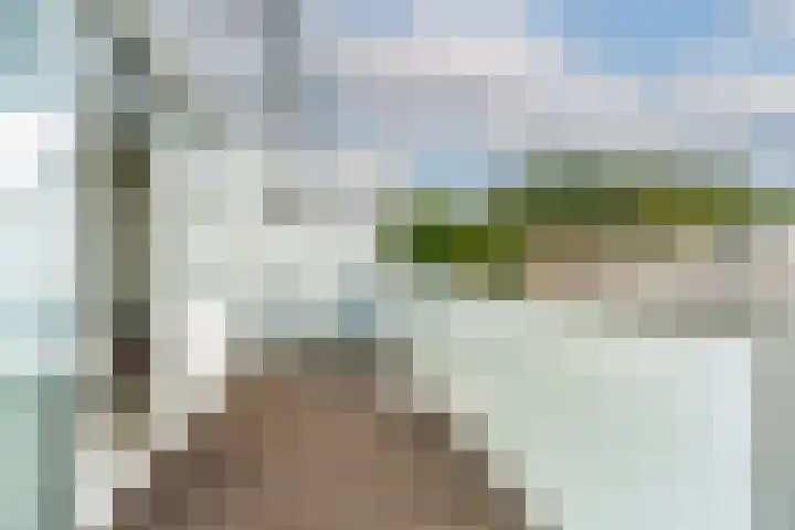 Gerard ter Borchhage 110 Nieuwegein thumbnail 38