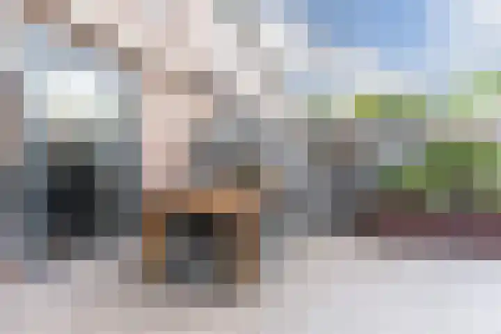 Gerard ter Borchhage 110 Nieuwegein thumbnail 40