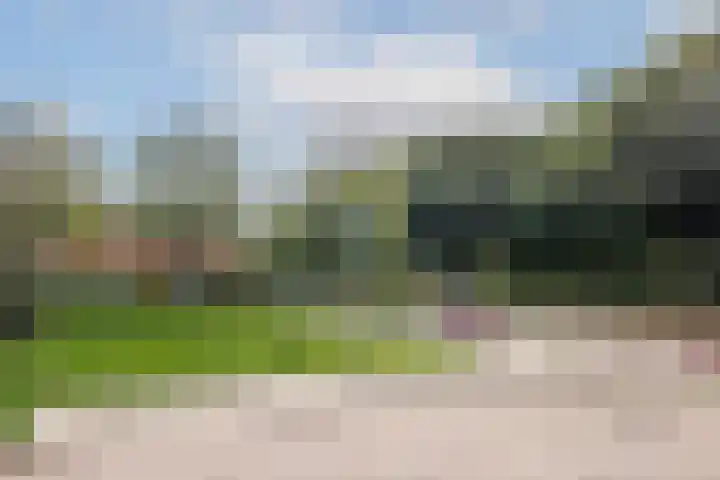 Gerard ter Borchhage 110 Nieuwegein thumbnail 44