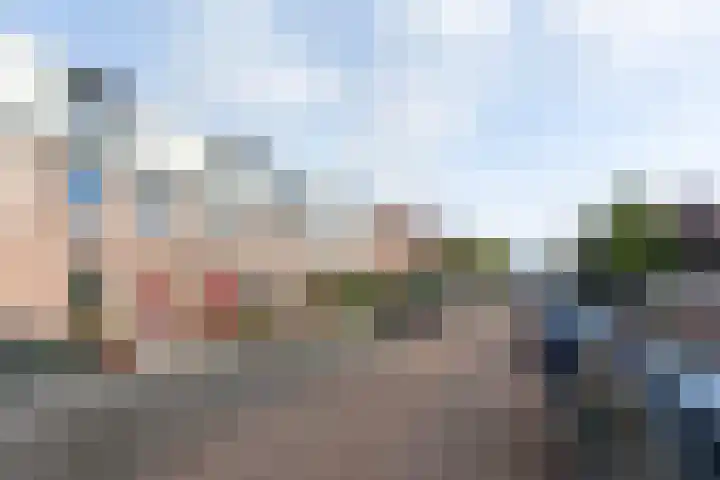 Gerard ter Borchhage 110 Nieuwegein thumbnail 8