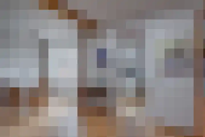 Gerard ter Borchlaan 18 Lochem thumbnail 10