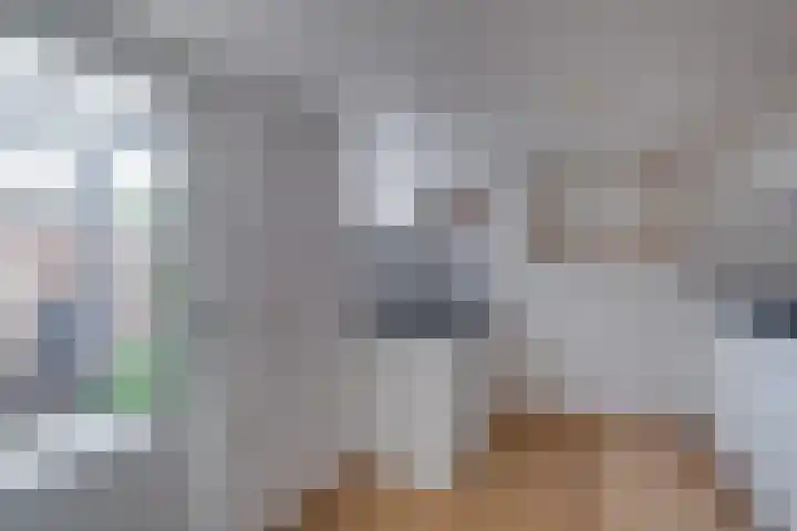 Gerard ter Borchlaan 18 Lochem thumbnail 11