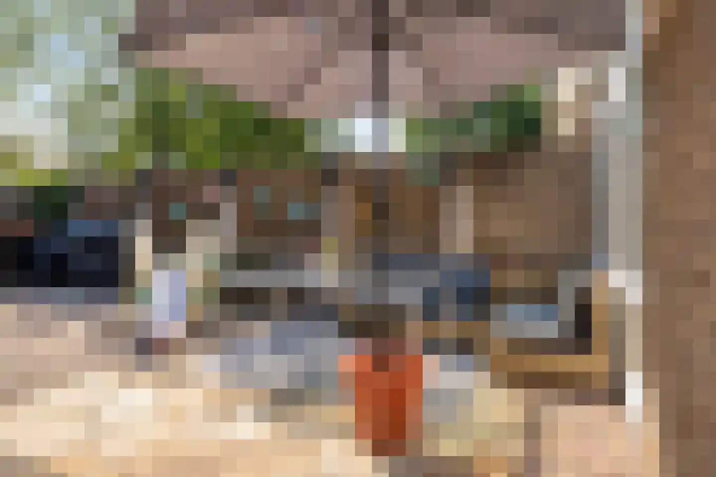 Gerard ter Borchstraat 44 Roosendaal thumbnail 34