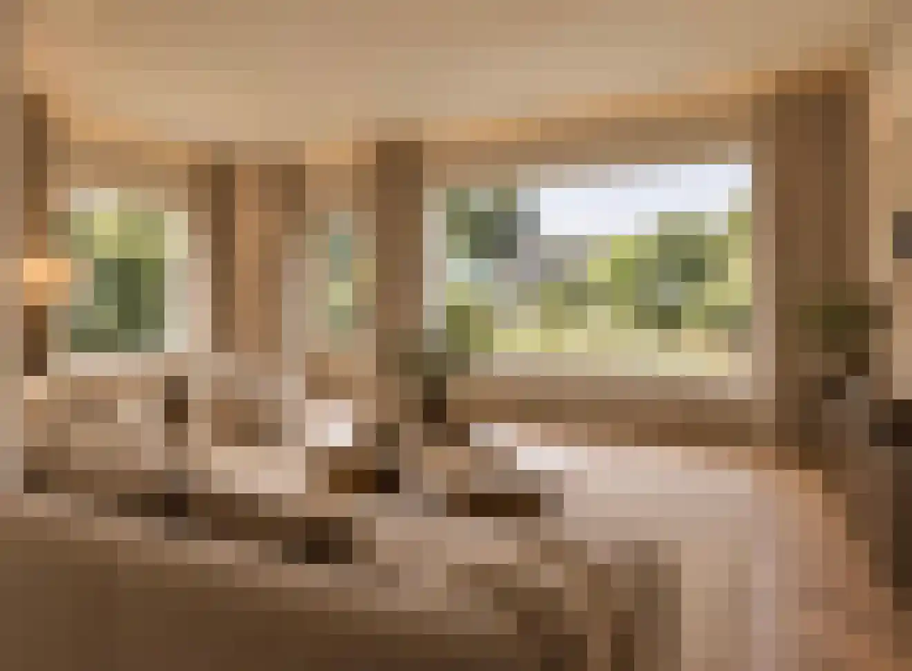 Gerard Terborchlaan 16 Bilthoven thumbnail 10