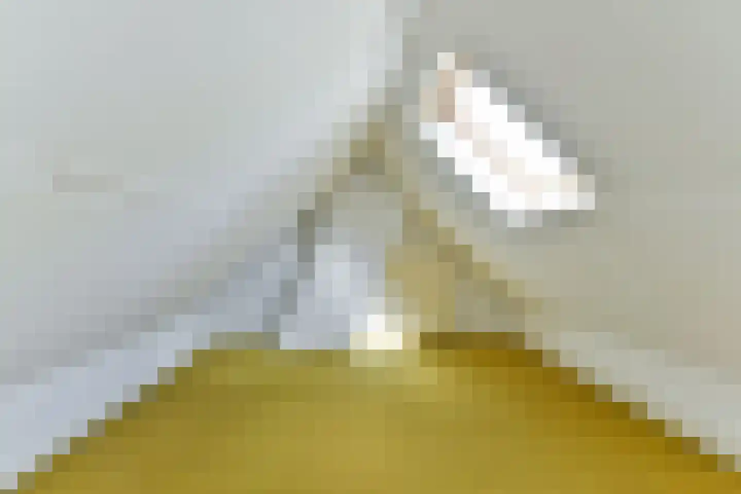 Gerard Terborchlaan 16 Bilthoven thumbnail 30
