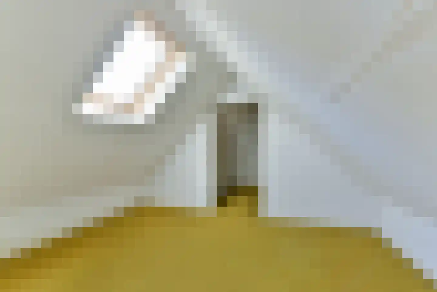 Gerard Terborchlaan 16 Bilthoven thumbnail 31