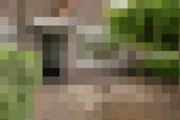 Gerard Terborchstraat 12 Leeuwarden thumbnail 7